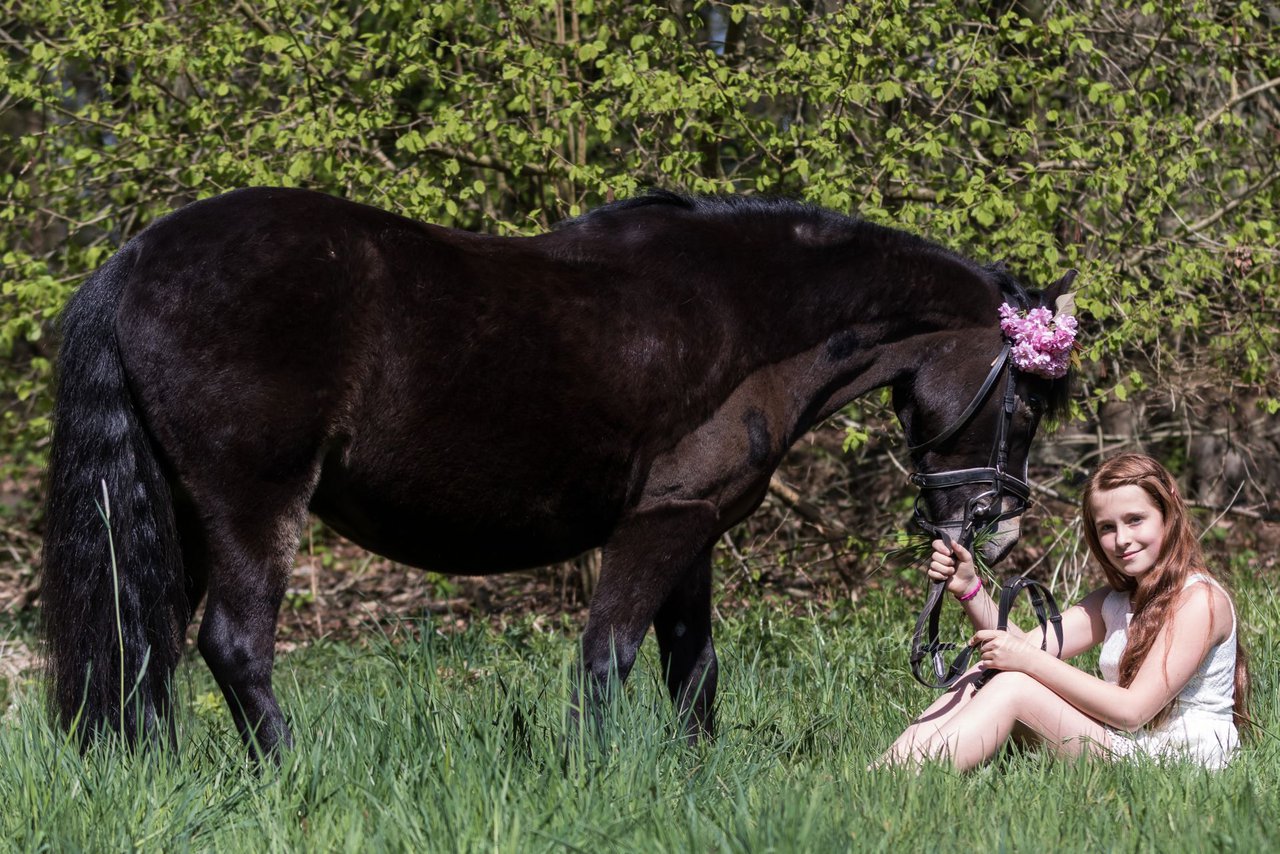 Bild 34 - Fotoshooting im Wald